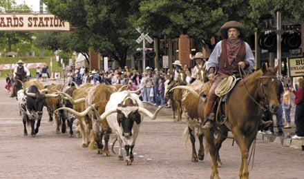 Stockyard